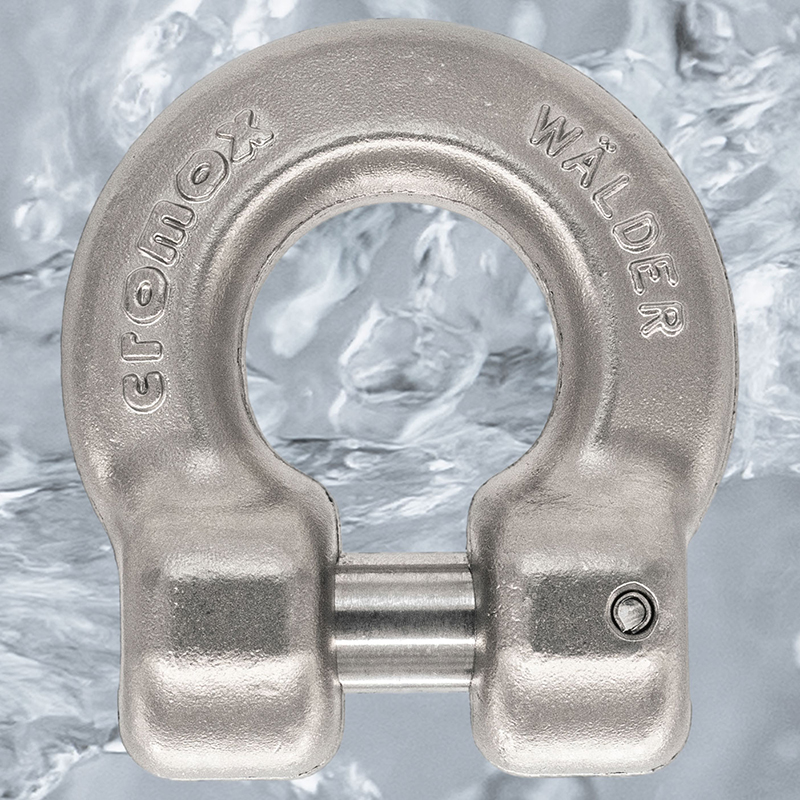 shackle / connecting links